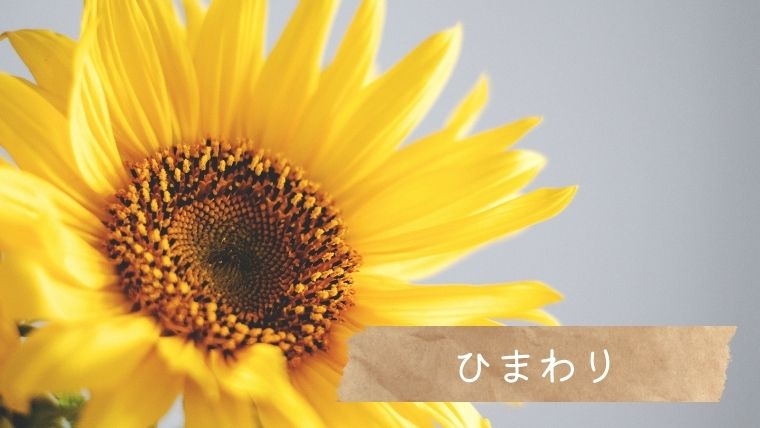 夏の黄色い花・ひまわり