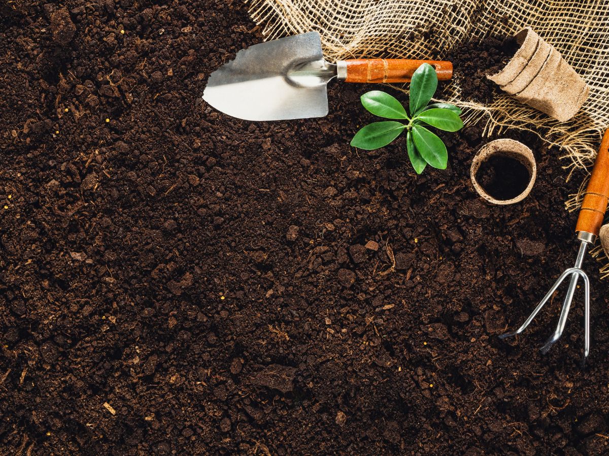 土の庭をおしゃれに有効活用する方法